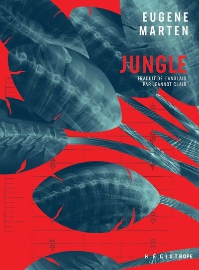 Jungle | Marten, Eugene (Auteur)