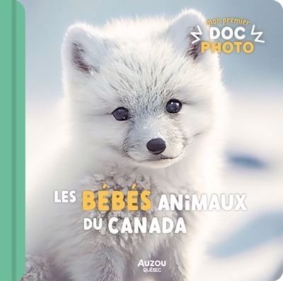 Mon premier doc photo - Les bébés animaux du Canada  | Roberge, Sylvie 