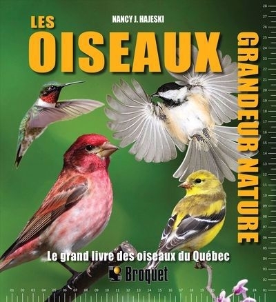 Oiseaux grandeur nature : Le grand livre des oiseaux du Québec, Les | Hajeski, Nancy J.