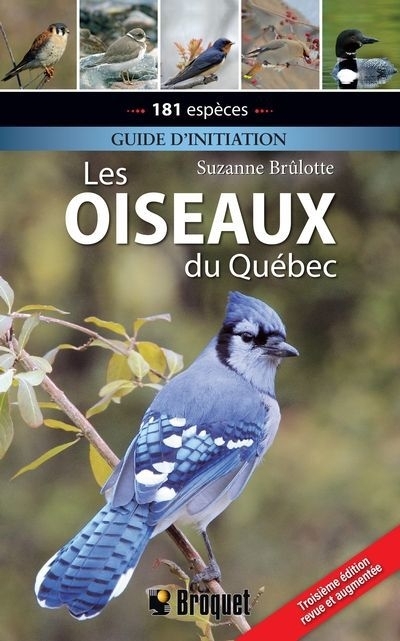 Les oiseaux du Québec | 