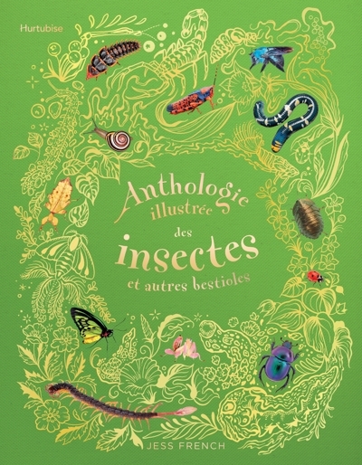 Anthologie illustrée des insectes et autres bestioles | French, Jess (Auteur) | Long, Daniel (Illustrateur) | Rizza, Angela (Illustrateur)