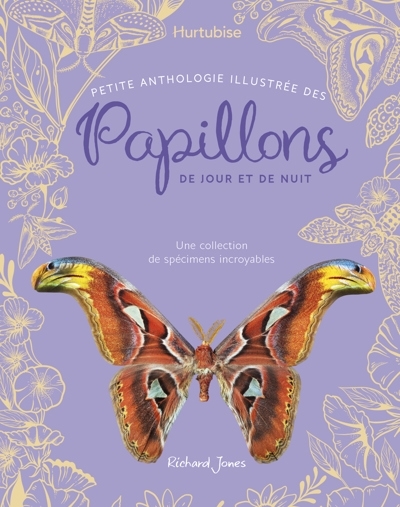 Petite anthologie illustrée des papillons de jour et de nuit | Jones, Richard (Auteur) | Long, Daniel (Illustrateur) | Rizza, Angela (Illustrateur)