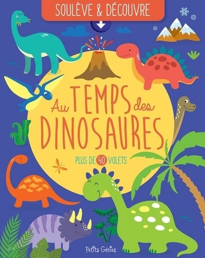 Au temps des dinosaures | Chabot, Claire