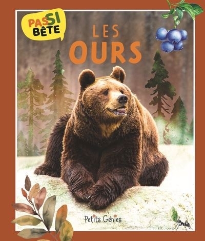 ours (Les) | Bonin, Pierre-Alexandre