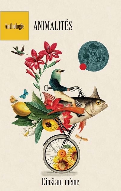 Animalités : Anthologie | 