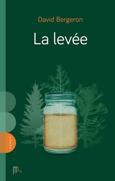 levée (La) | Bergeron, David (Auteur)