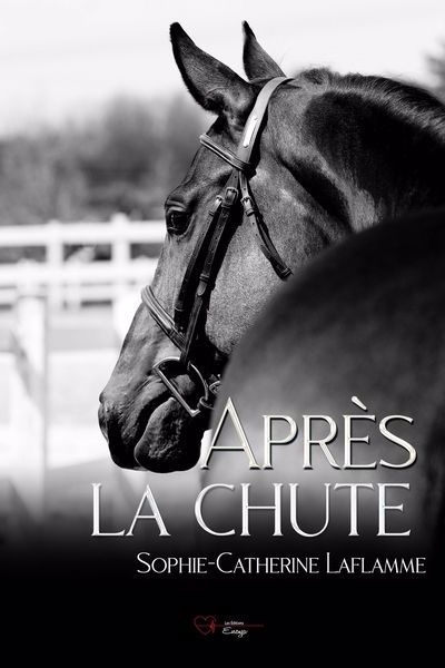 Après la chute | Laflamme, Sophie-Catherine (Auteur)