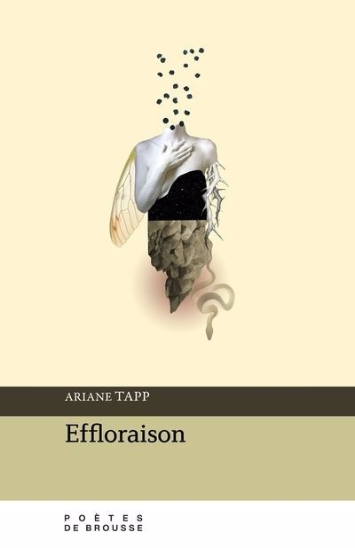 Effloraison | Tapp, Ariane