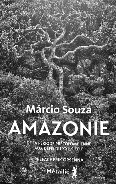 Amazonie : histoire de la période précolombienne aux défis du XXIe siècle | Souza, Marcio