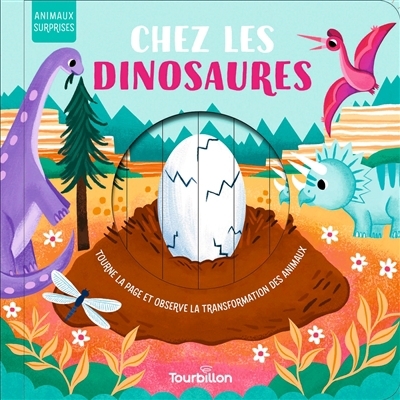 Chez les dinosaures : tourne la page et observe la transformation des animaux | Stone, Harriet (Auteur) | Paige, Becky (Illustrateur)