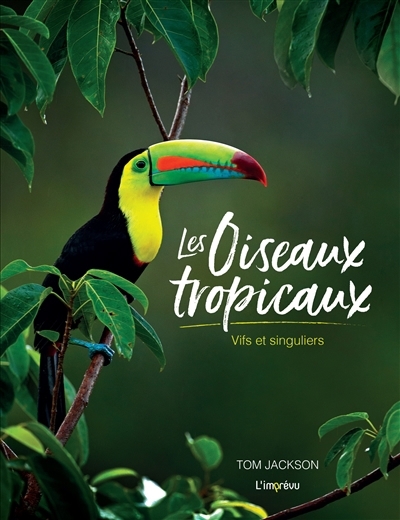 oiseaux tropicaux (Les) | Jackson, Tom