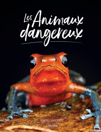 animaux dangereux (Les) | Madden, Barry