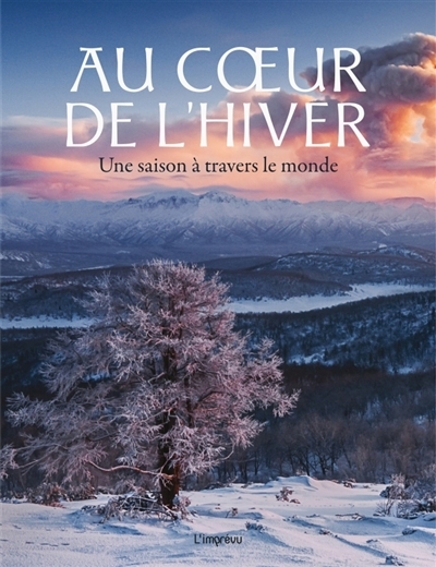 Au coeur de l'hiver : une saison à travers le monde | Martin, Claudia (Auteur)
