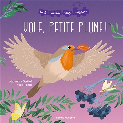 Vole, petite plume ! | Garibal, Alexandra (Auteur) | Déchelette, Alice (Illustrateur)