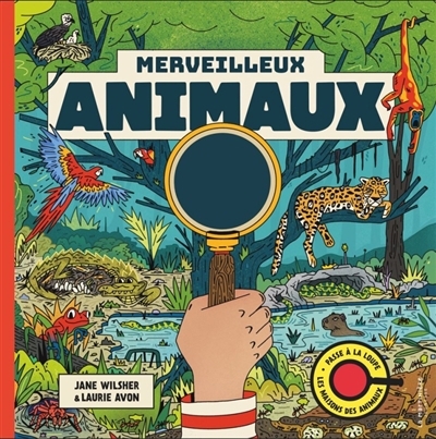 Merveilleux animaux : passe à la loupe les maisons des animaux | Wilsher, Jane (Auteur) | Avon, Laurie (Illustrateur)