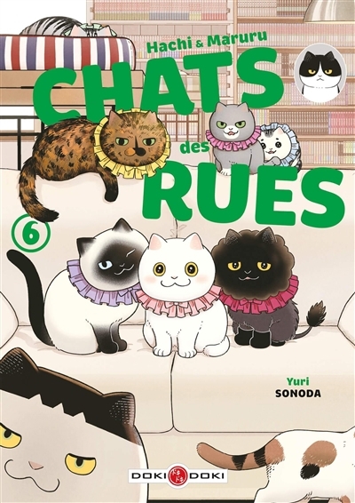 Hachi & Maruru : chats des rues T.06 | Sonoda, Yuri