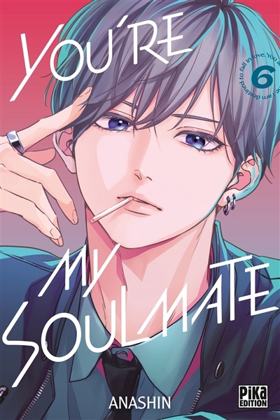 You're my soulmate T.06 | Anashin (Auteur)