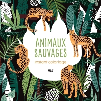 Animaux sauvages : Instant coloriage | 