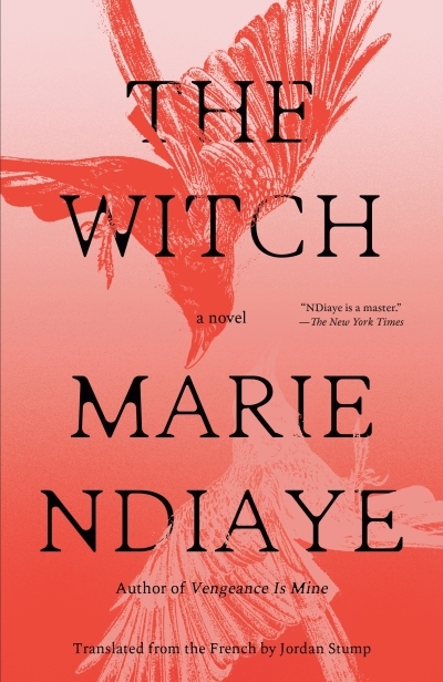 The Witch | NDiaye, Marie (Auteur)