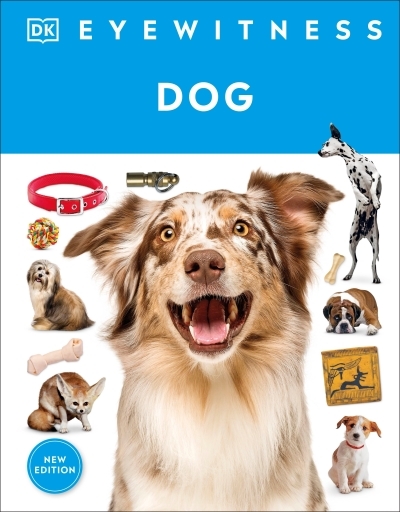 Eyewitness Dog | 